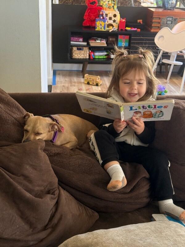 Enlarge Brandy, a Adoptable mixed breed in Van Nuys, CA image 4/6