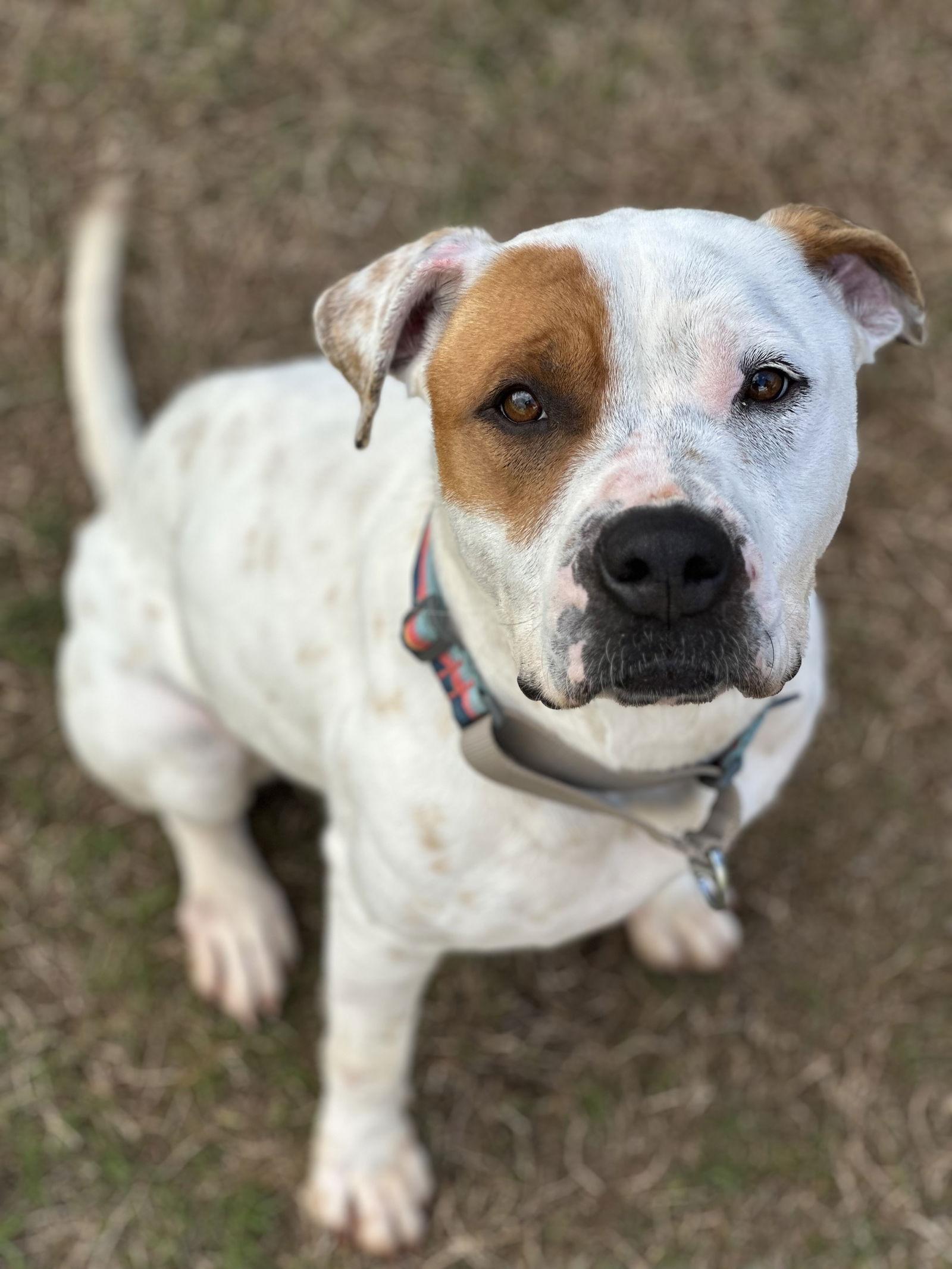 Sweety — thumbnail 6