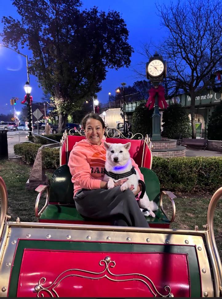 Enlarge Yuki, an adopted Shiba Inu in Toms River, NJ image 6/6