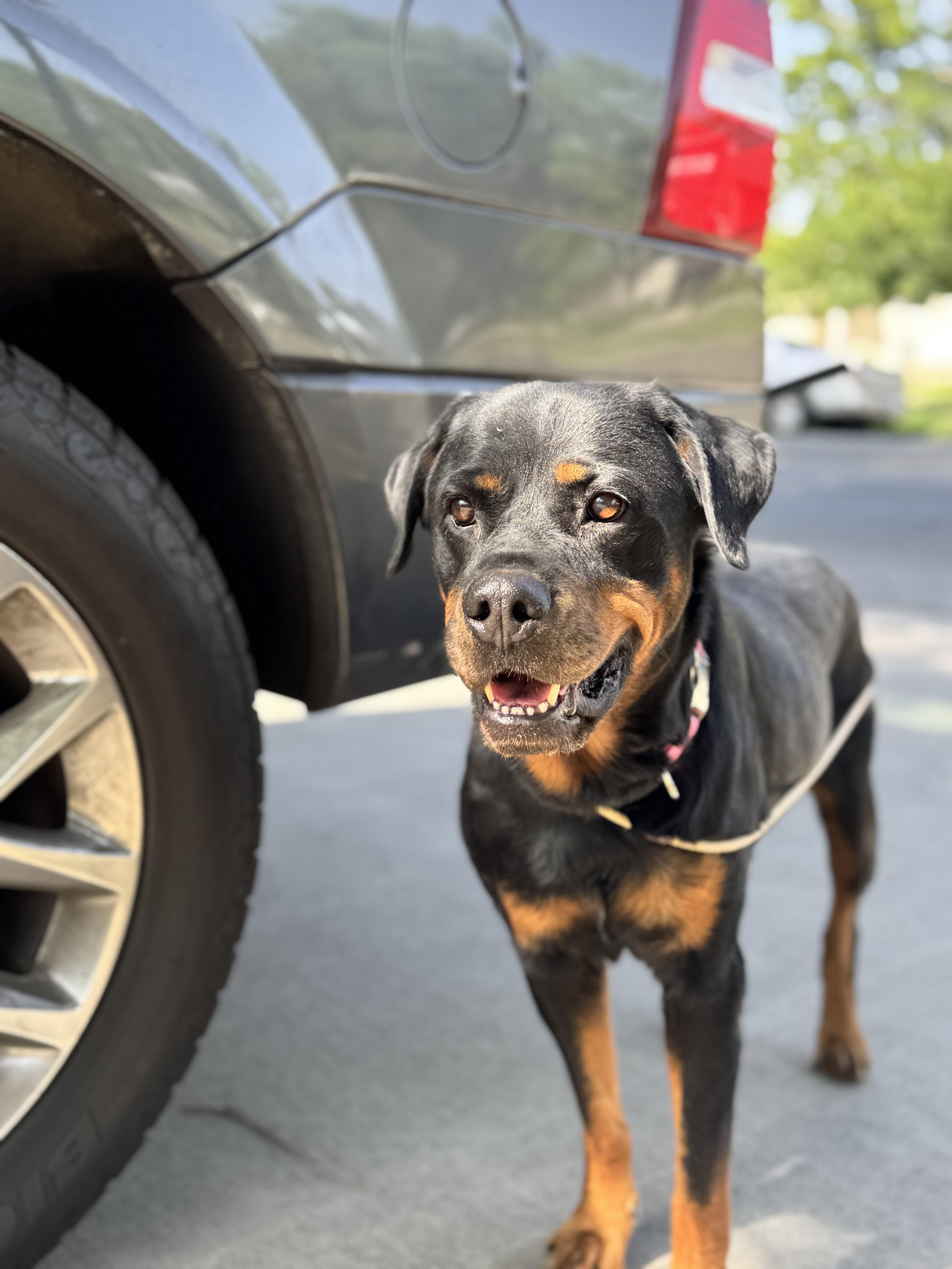 Charlie 3