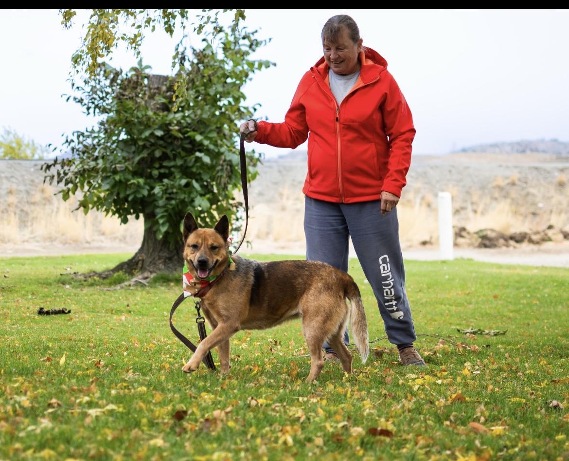 Ruby, a Adoptable mixed breed in Port Angeles, WA image 2/6