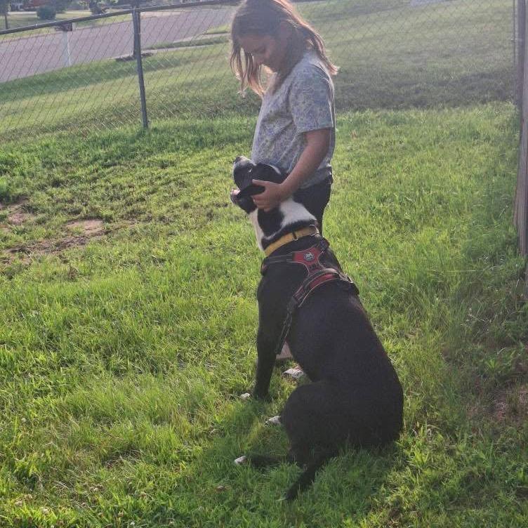 Ducky, a Adoptable Mixed Breed in Tomah, WI image 4/6