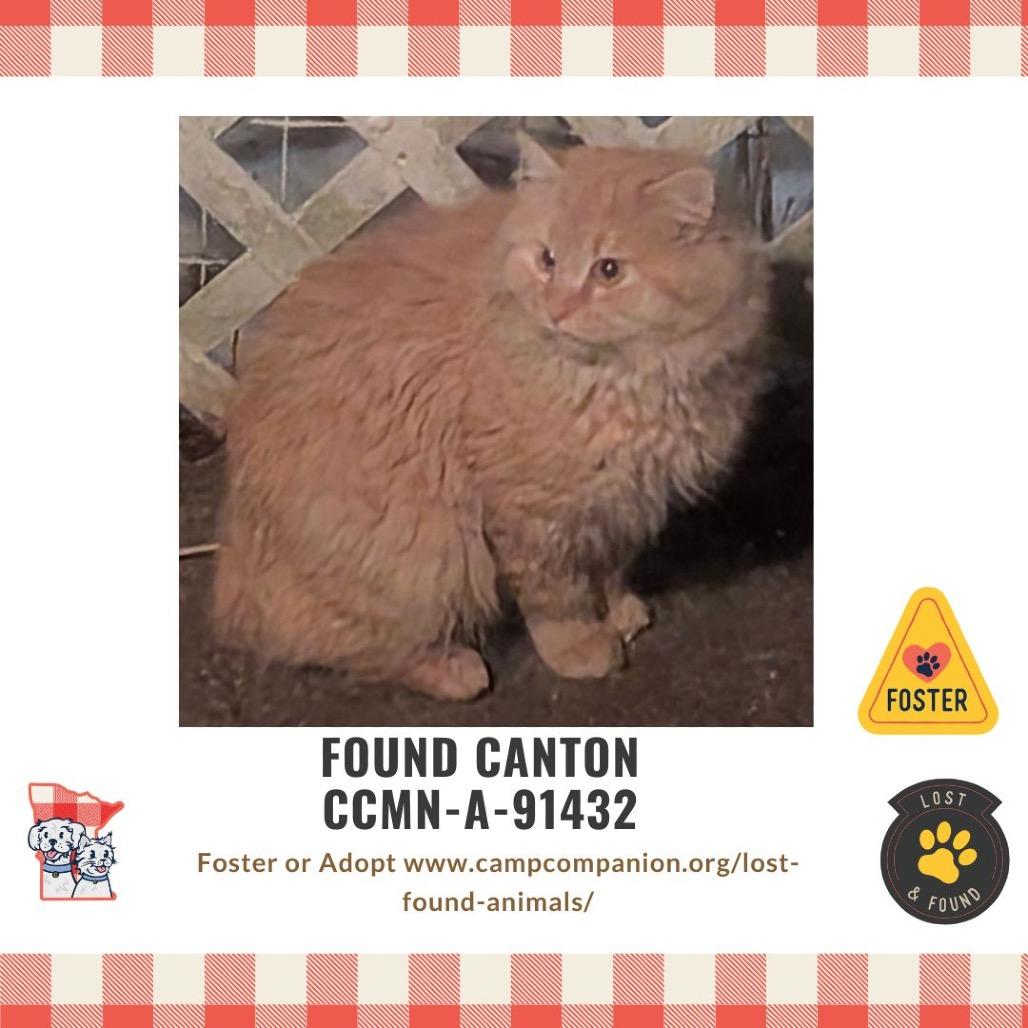 Unknown — thumbnail 2