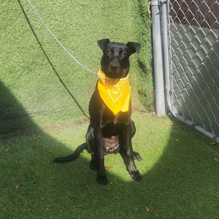 Endora — thumbnail 2