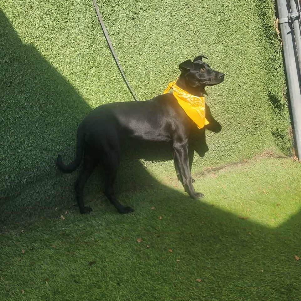 Endora — thumbnail 6