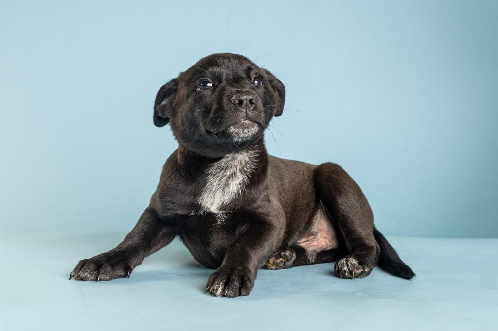 Garrison