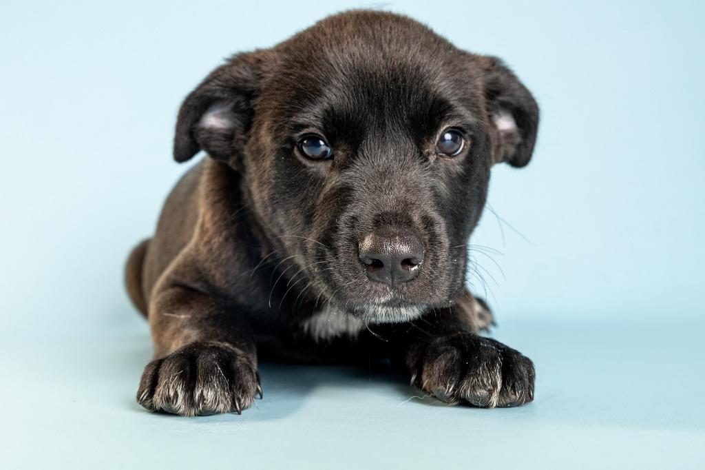 Garrison