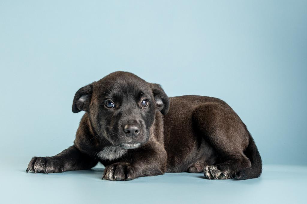 Garrison