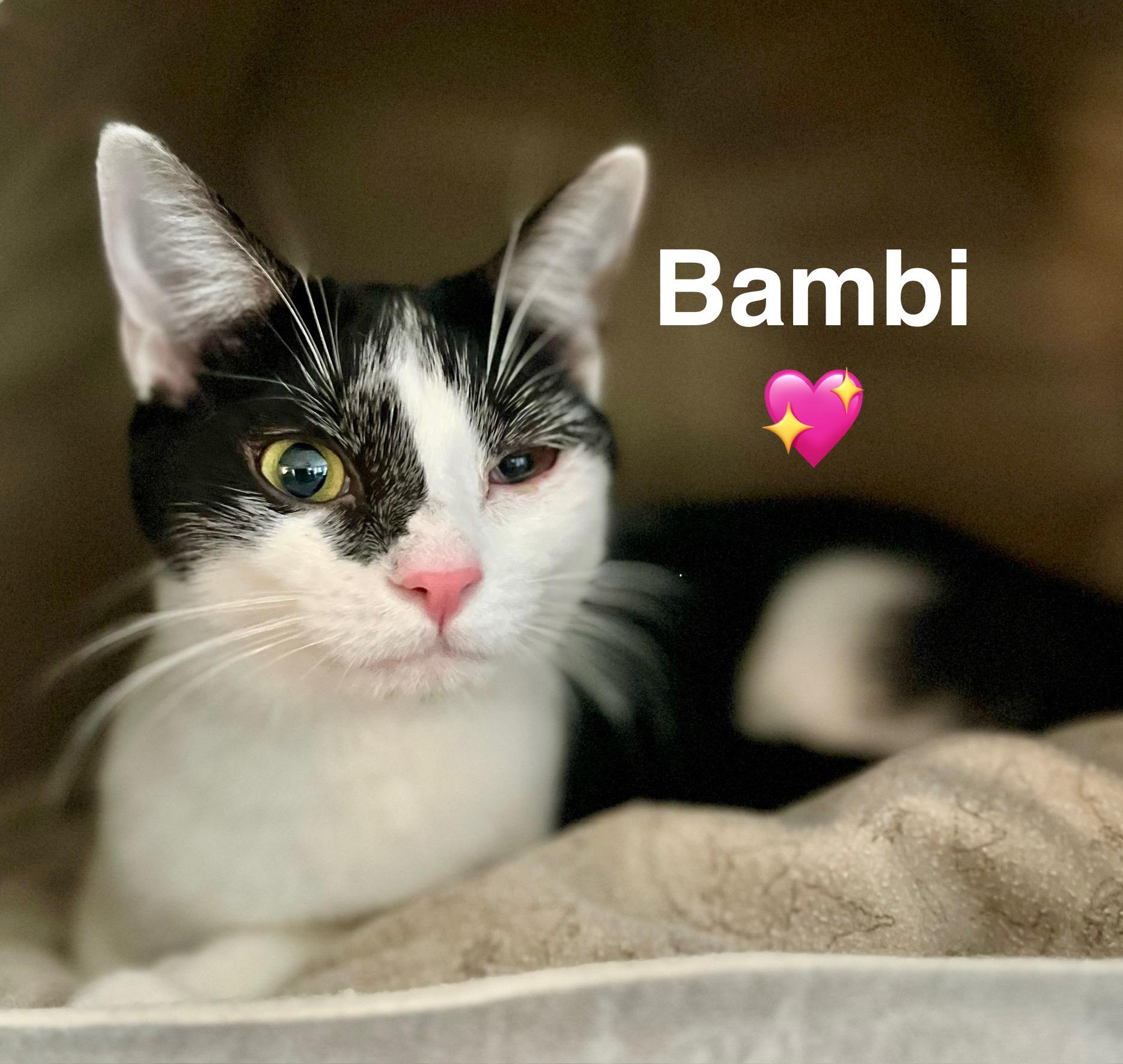 Bambi