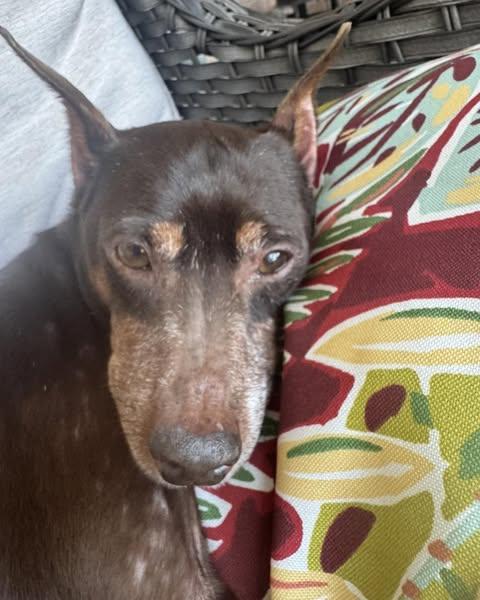 Otto