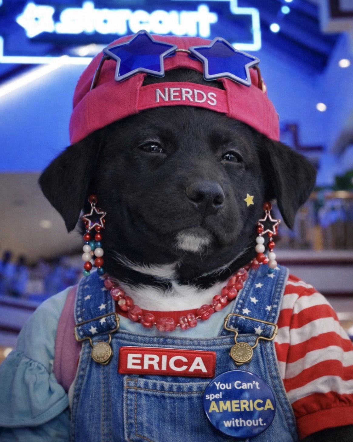 Enlarge Erica, a Adoptable mixed breed in Littleton, CO image 3/3