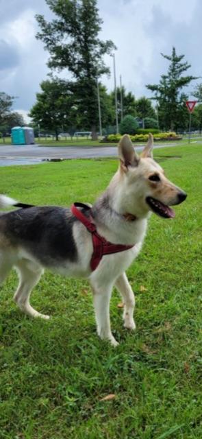 KONA! — thumbnail 2