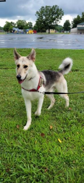 KONA! — thumbnail 3