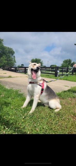 KONA! — thumbnail 4