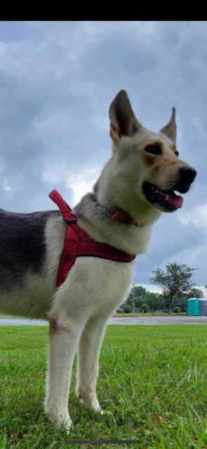 KONA! — thumbnail 5