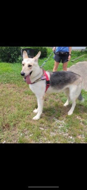 KONA! — thumbnail 6