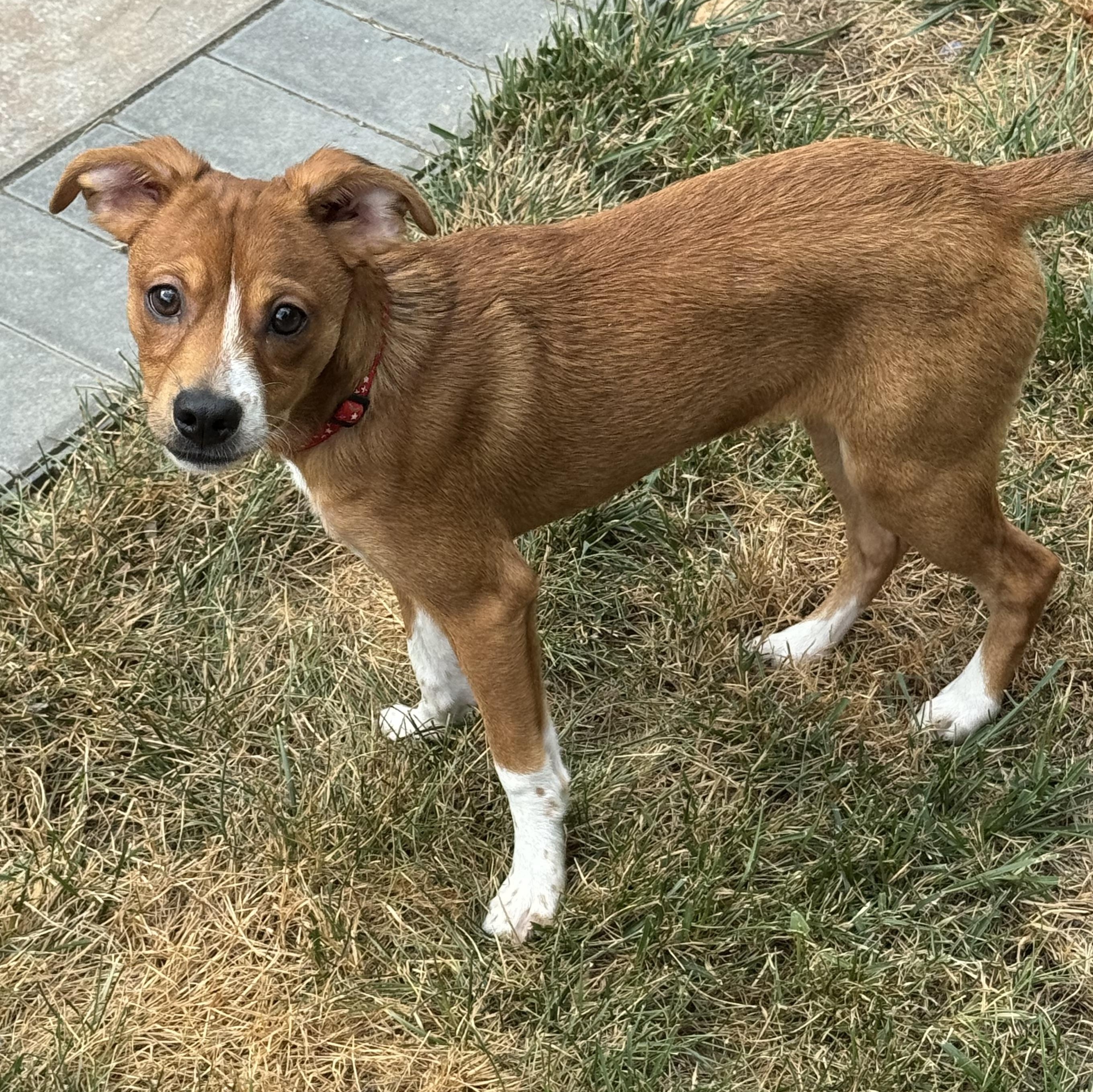 KINLEE, Baby Female unknown