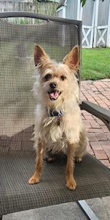 Marley