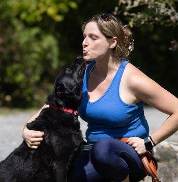 Enlarge McKynlee, a Adoptable Labrador Retriever in Bedford Hills, NY image 3/4