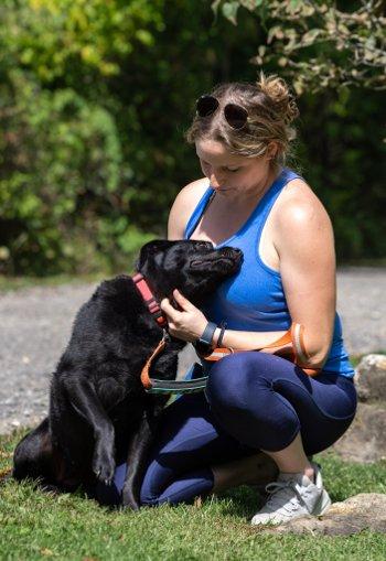 Enlarge McKynlee, a Adoptable Labrador Retriever in Bedford Hills, NY image 4/4