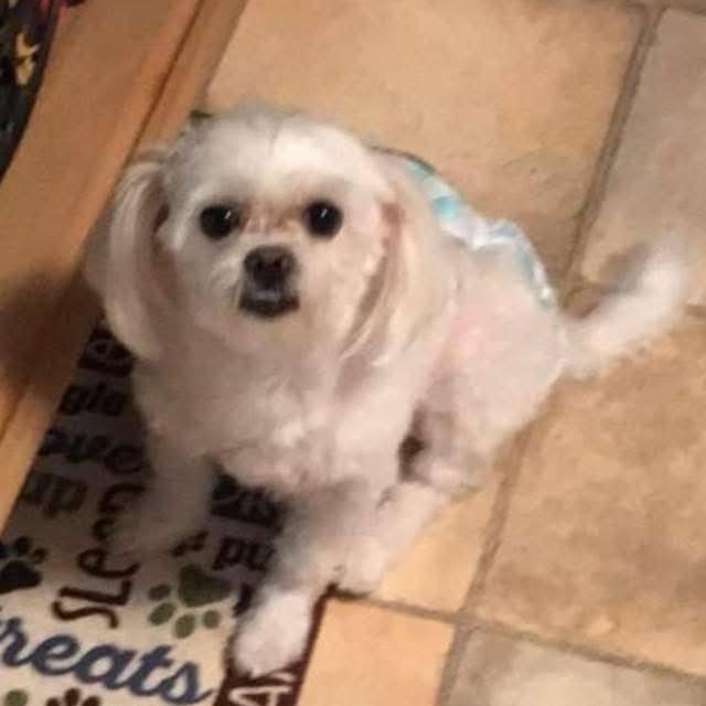 Princess  (Piper)