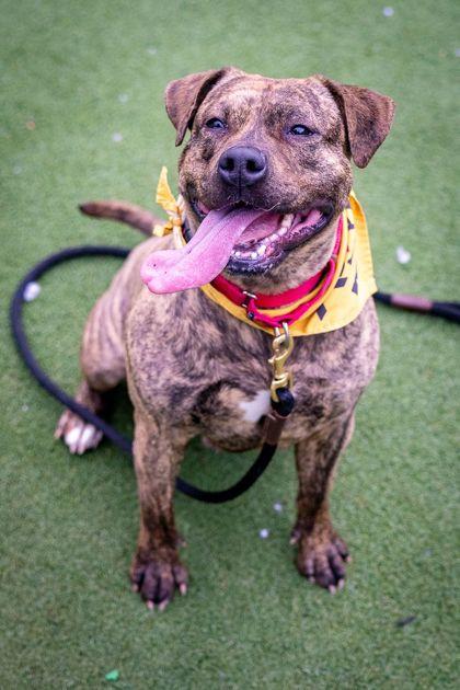 Cupcake 2 — thumbnail 3