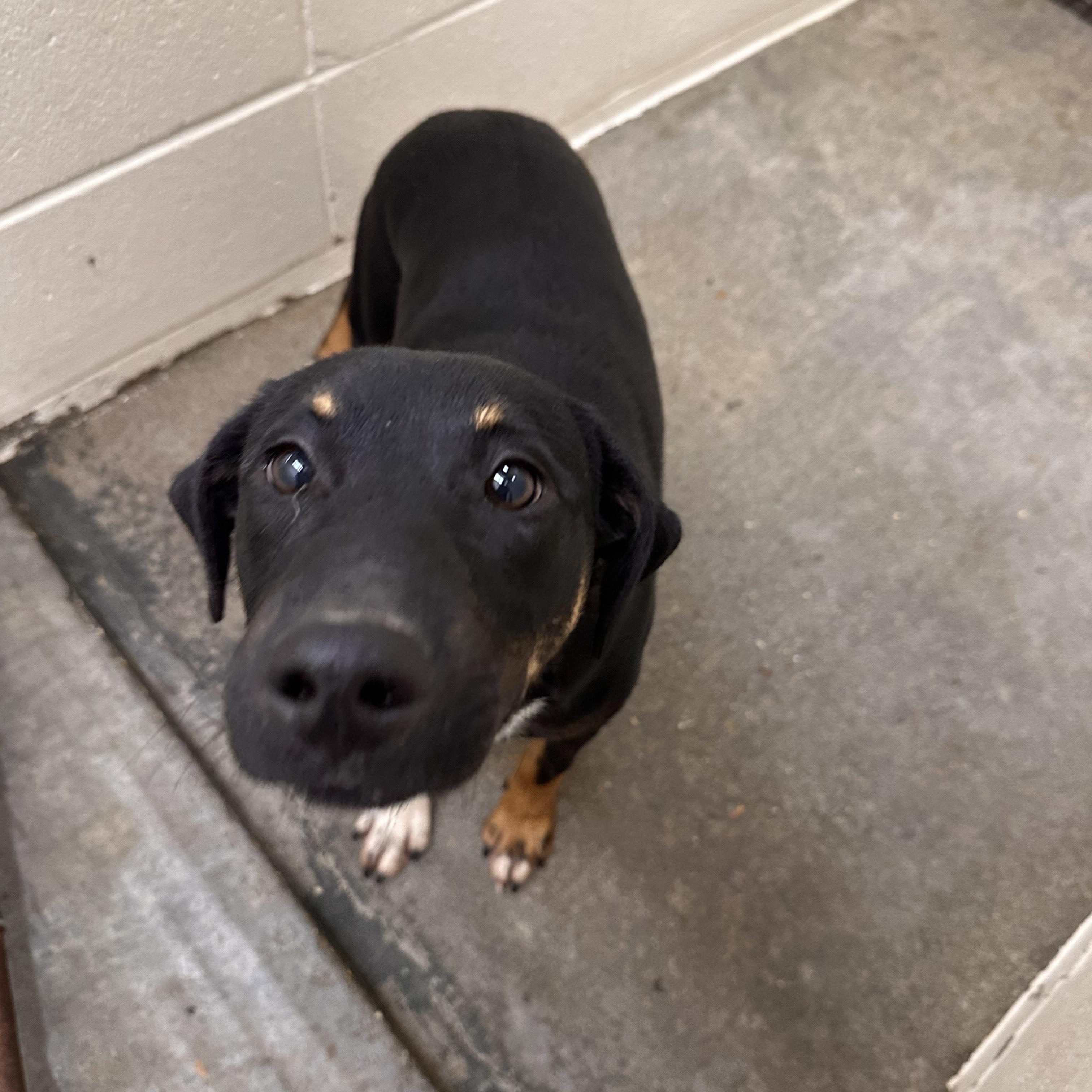 Keno Terrific thumbnail 2