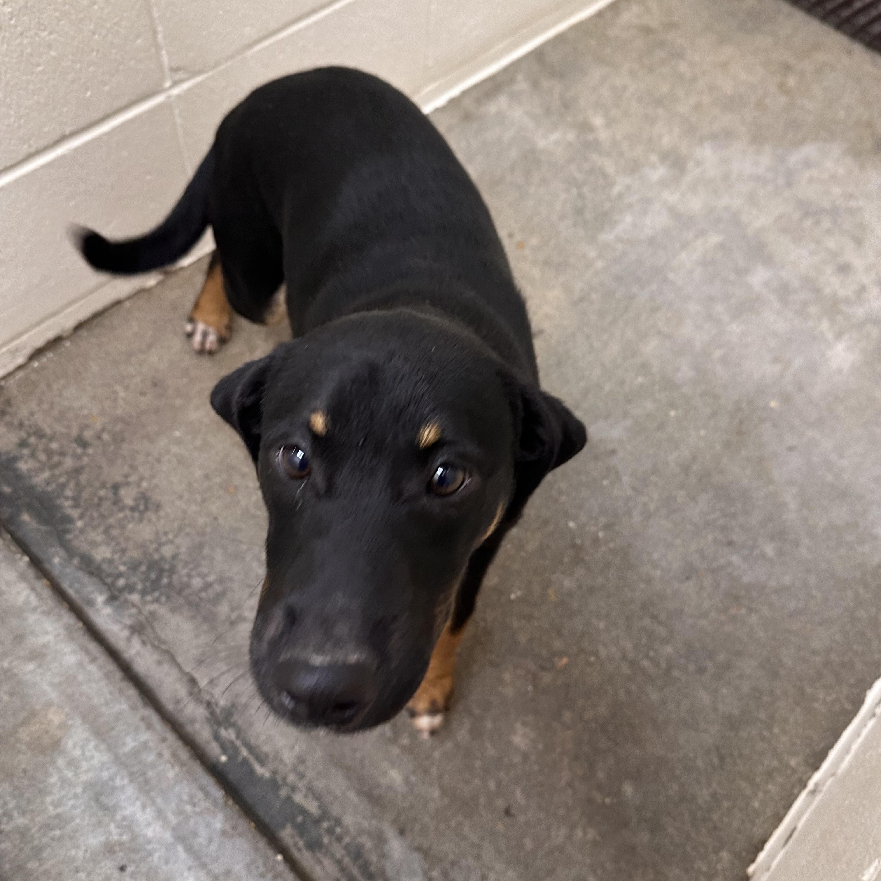 Keno Terrific thumbnail 3