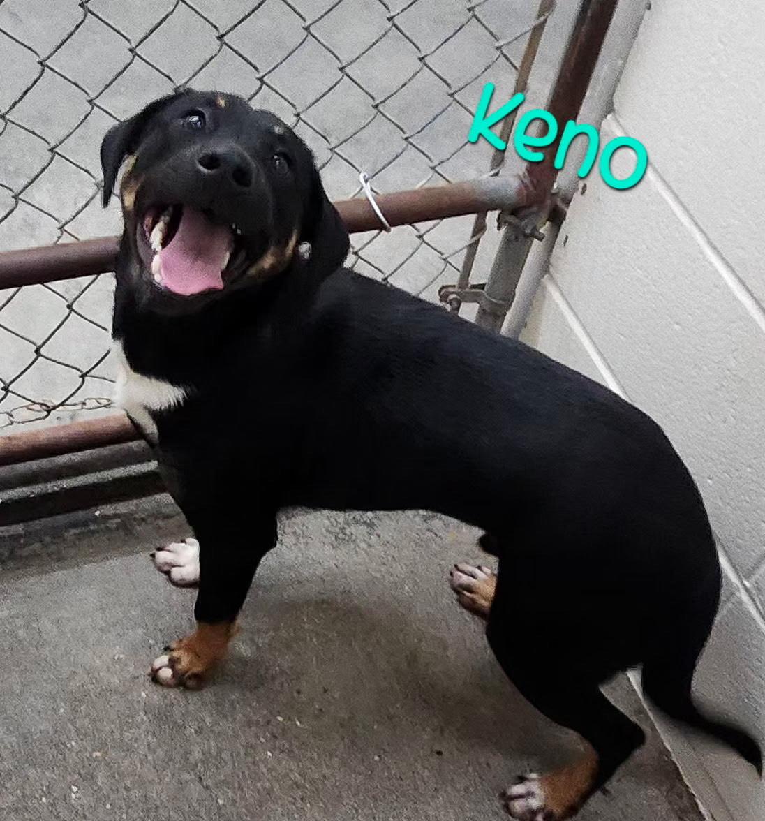 Keno Terrific thumbnail 4