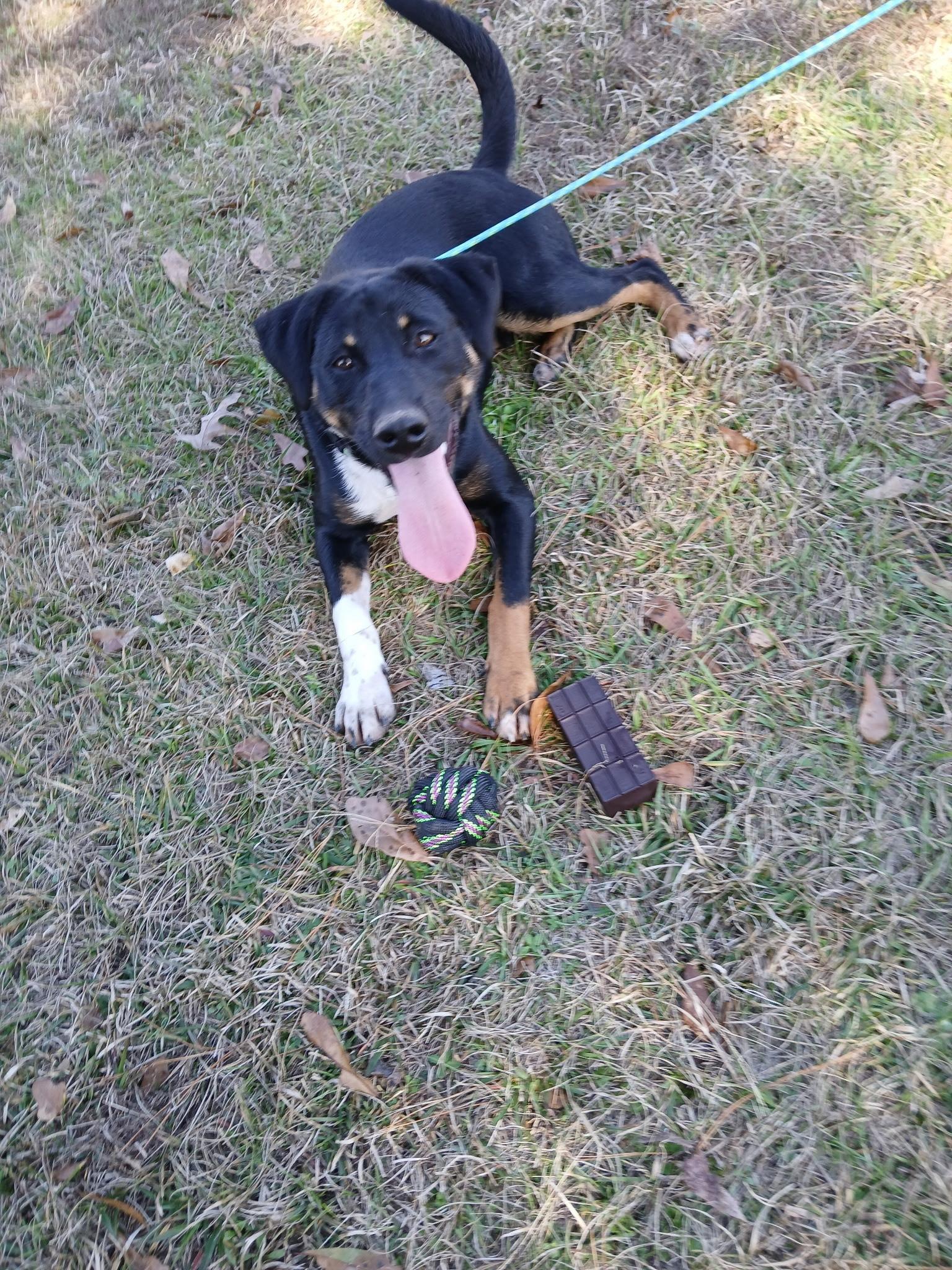 Keno Terrific thumbnail 5