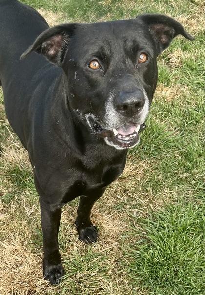 Moonie — thumbnail 2