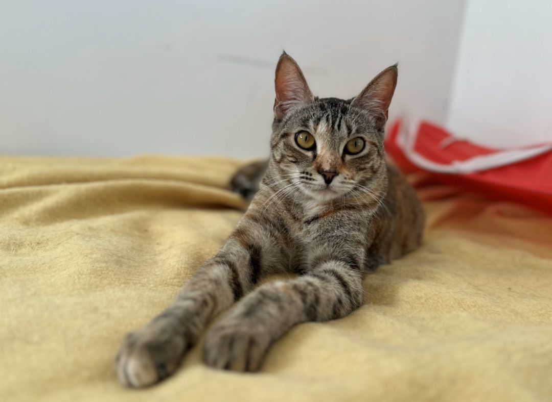 Missy photo 1