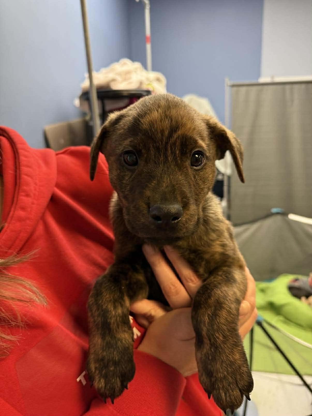 Champagne thumbnail 3