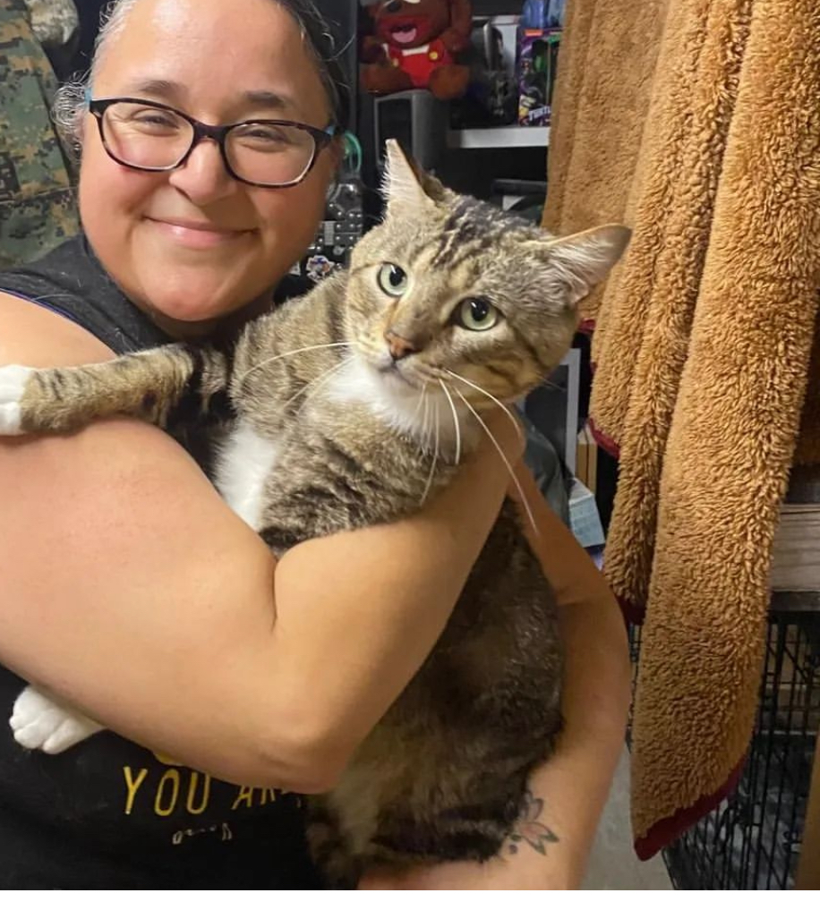 Winston, a Adoptable Tabby in Bell Gardens, CA image 5/6