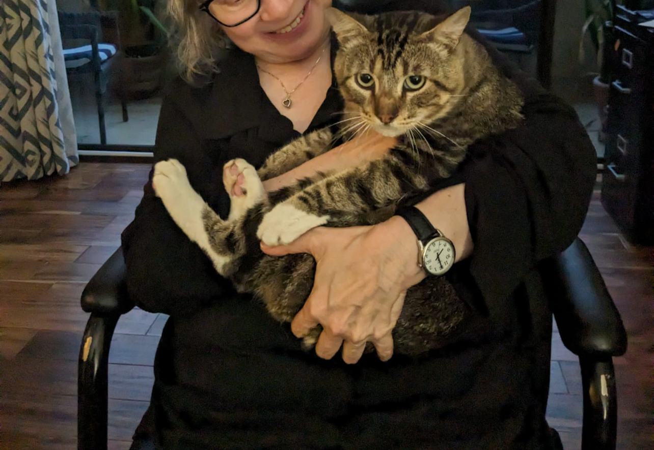 Winston, a Adoptable Tabby in Bell Gardens, CA image 6/6