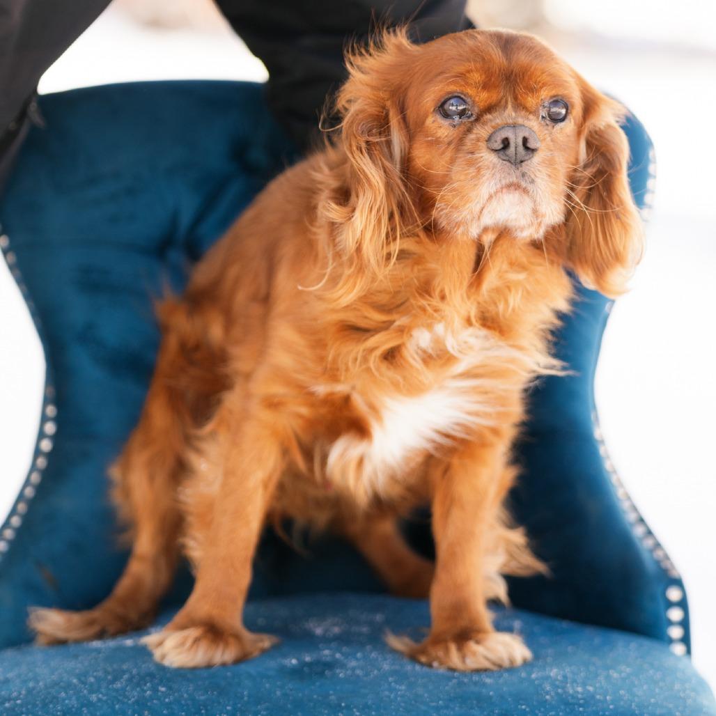 Christopher thumbnail 2