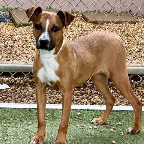 Eufaula — thumbnail 2