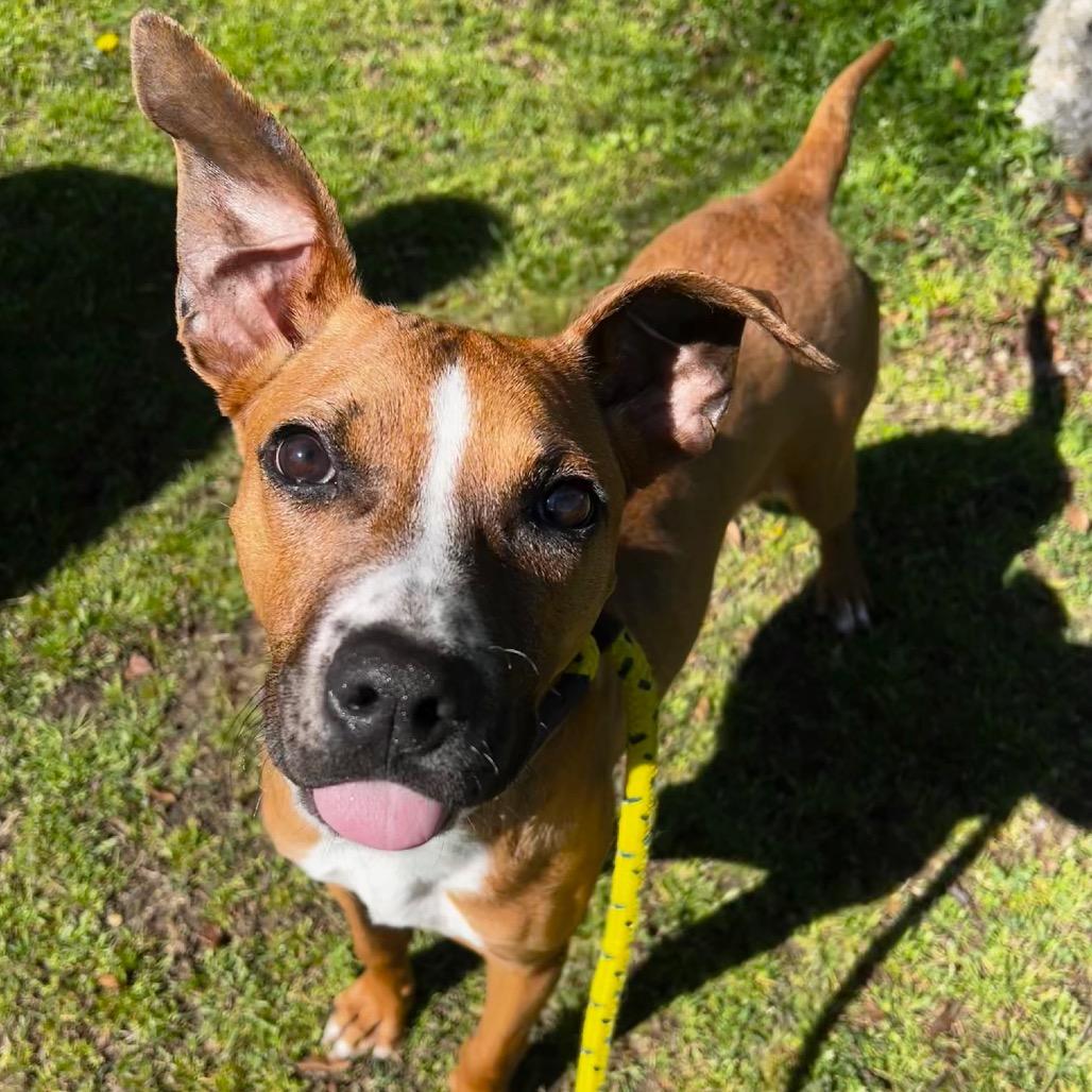 Eufaula — thumbnail 3