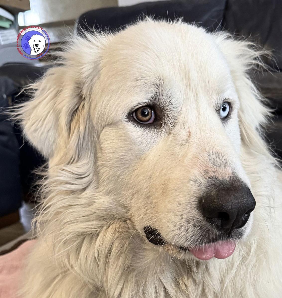 Winkie — thumbnail 6