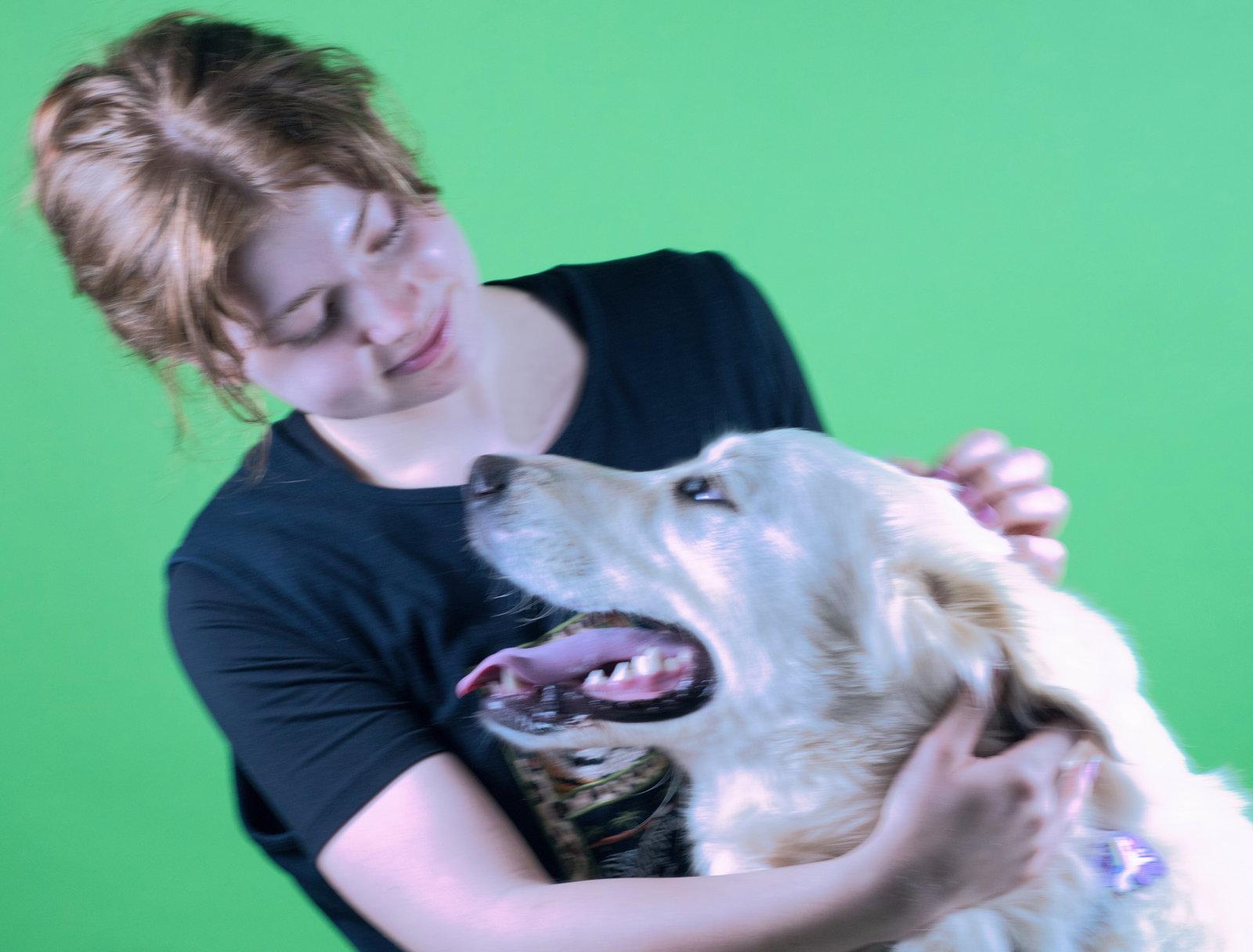 Enlarge Duke, a Adoptable mixed breed in Holly Springs, MS image 2/3