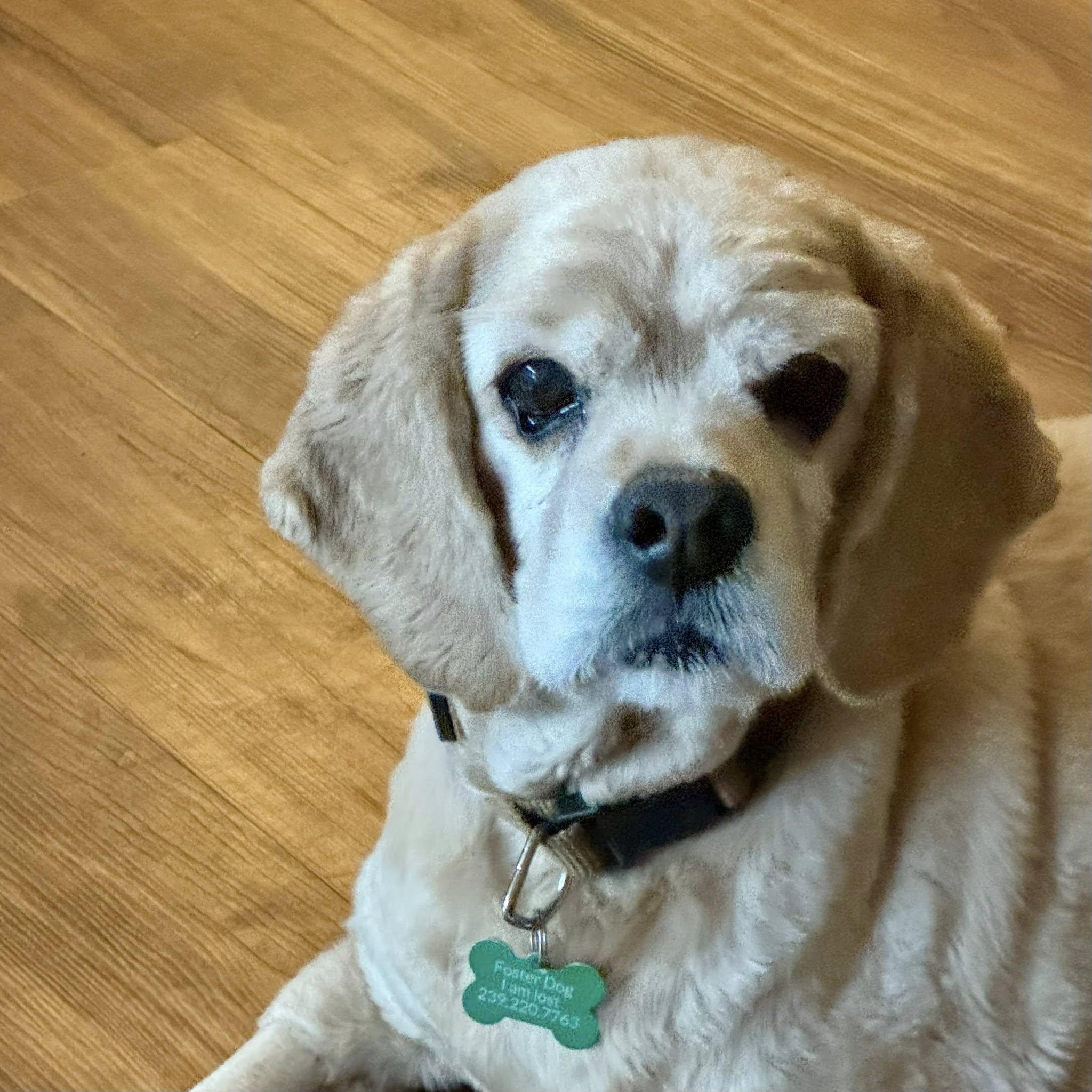 Baxter