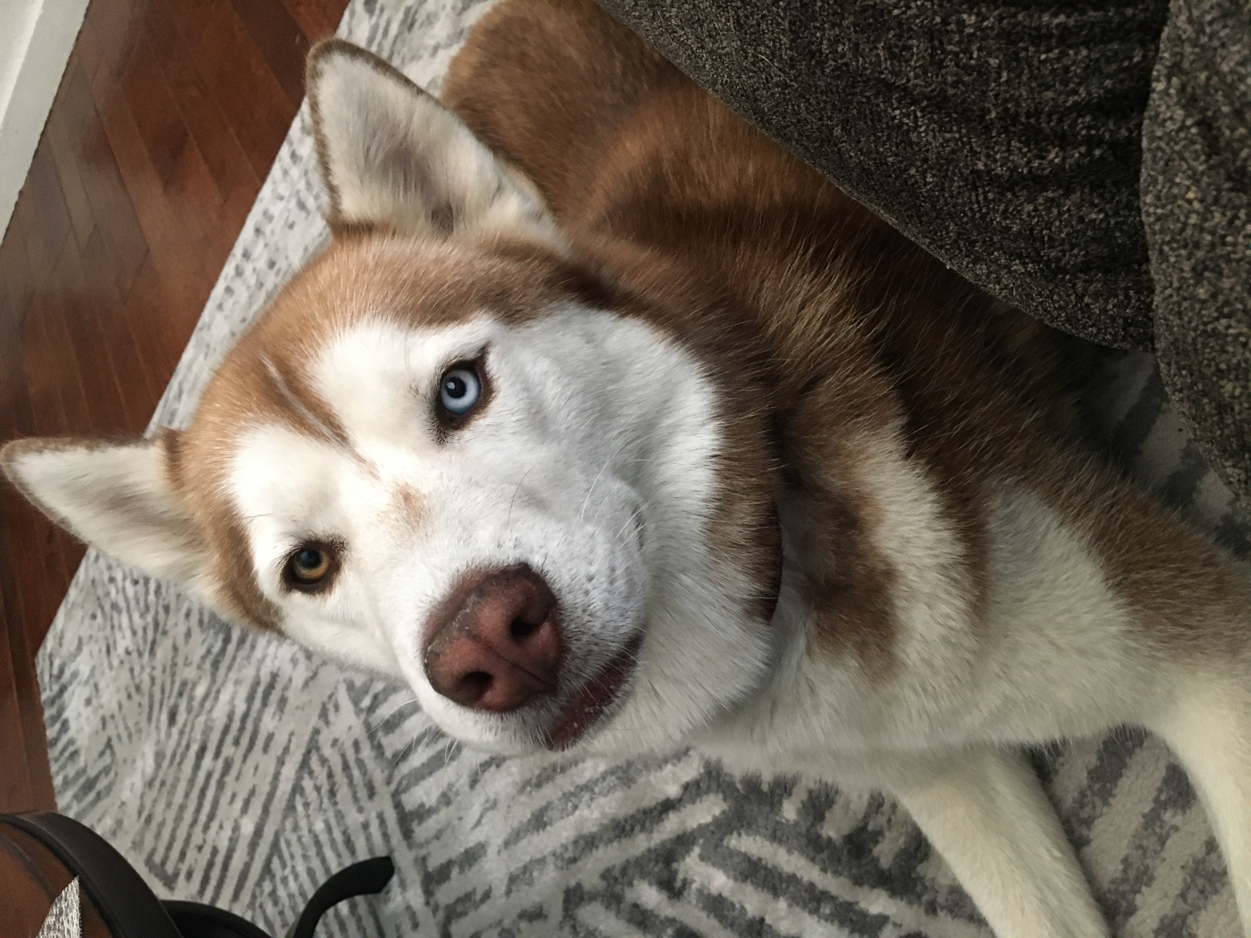 Rocky photo 2
