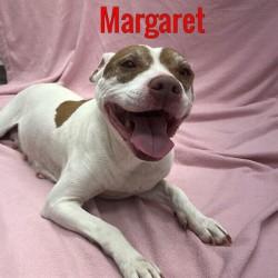 Margaret, Senior Female unknown