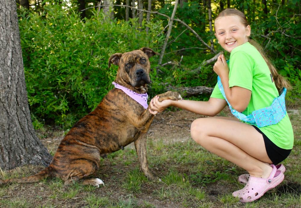 Enlarge Luna, a Adoptable mixed breed in Cheboygan, MI image 4/6