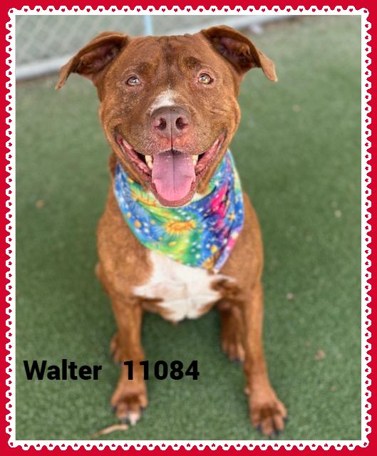 WALTER