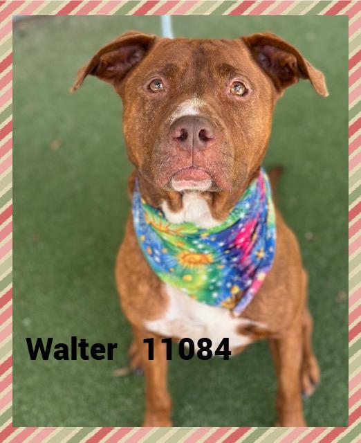 WALTER