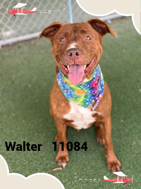 WALTER
