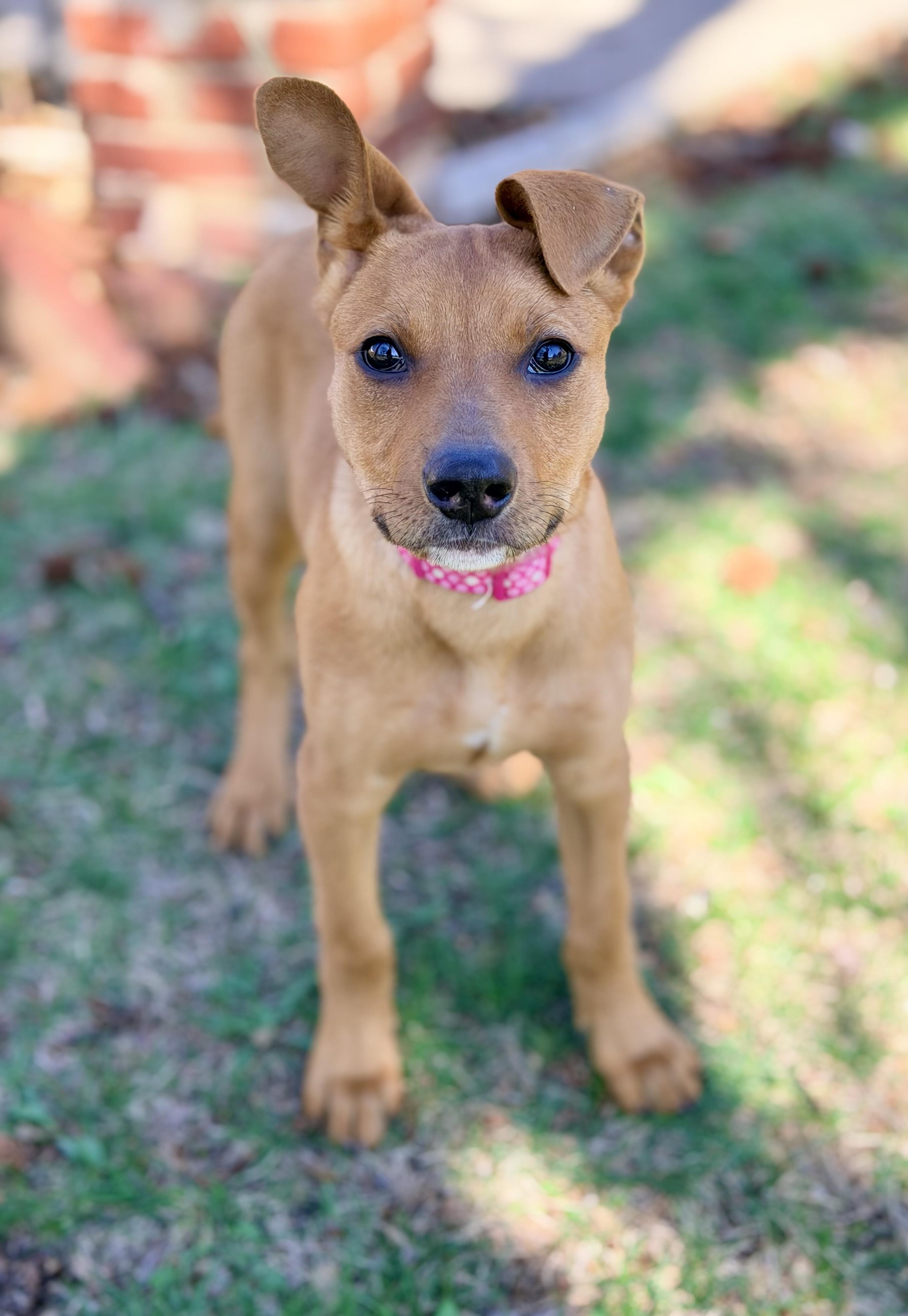 Jerrica — thumbnail 3