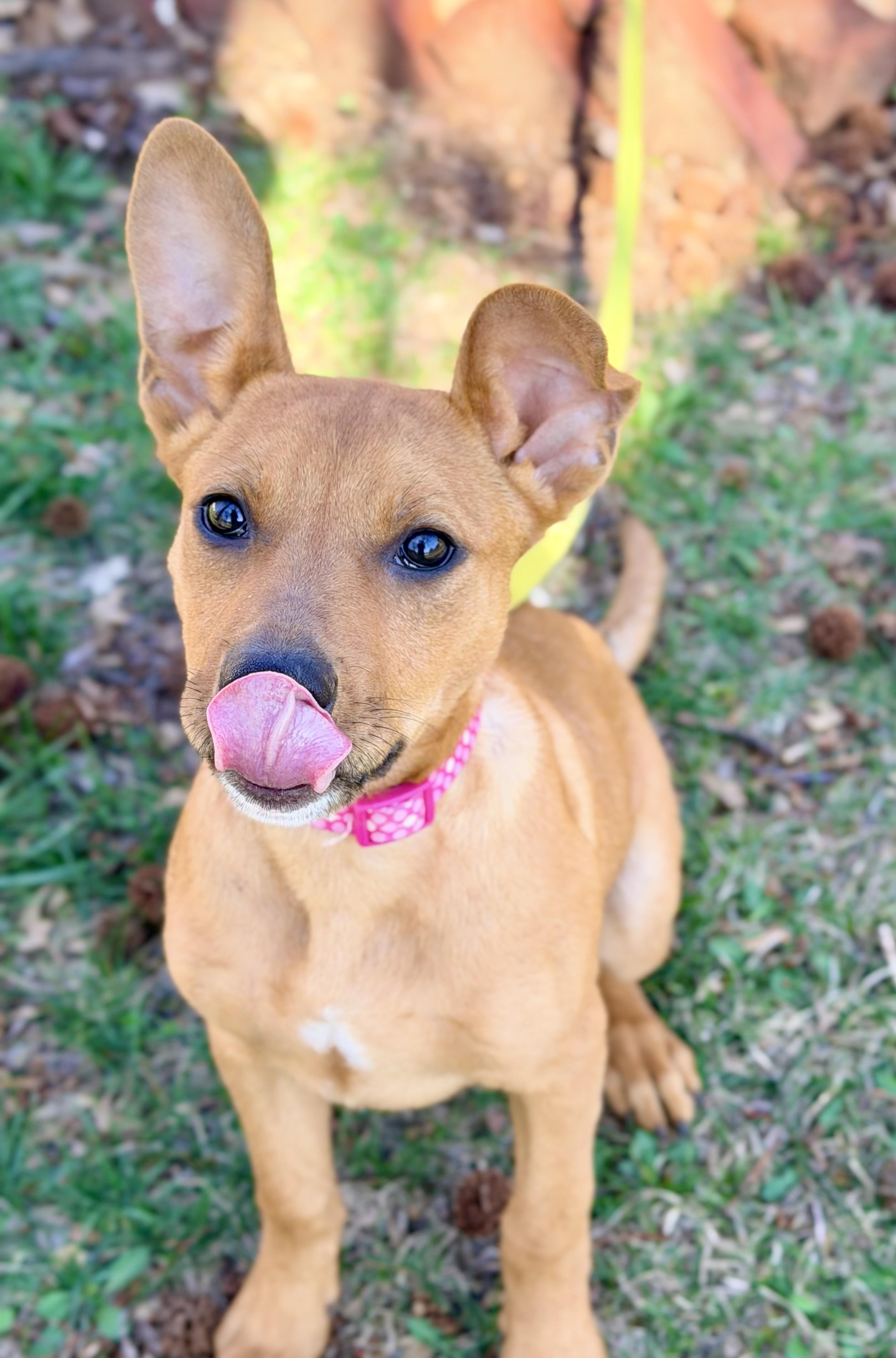 Jerrica — thumbnail 4