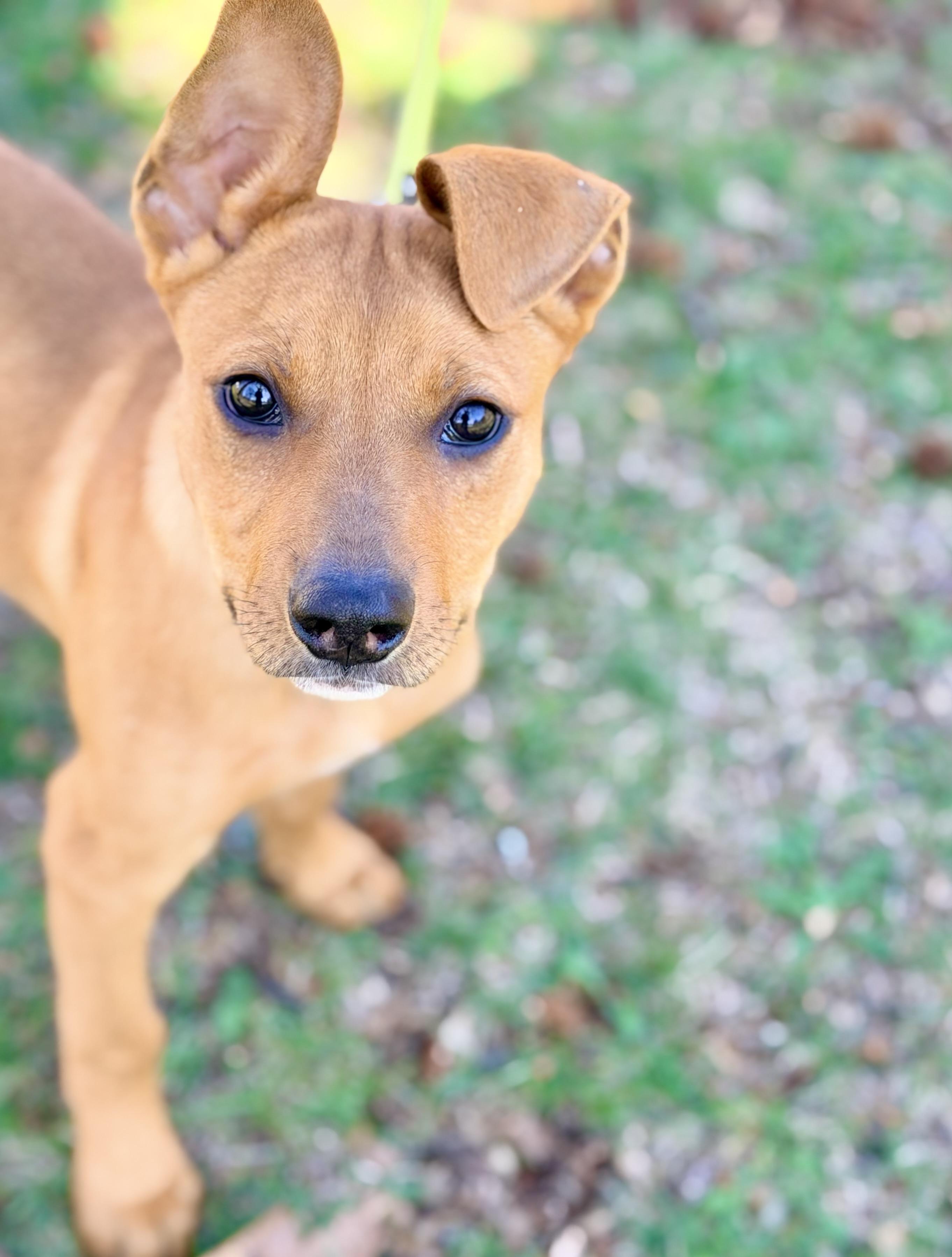 Jerrica — thumbnail 5